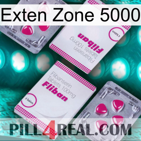 Exten Zone 5000 33.jpg